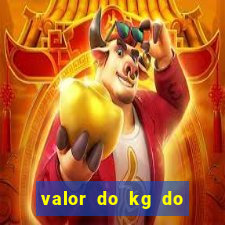 valor do kg do lacre de latinha 2024